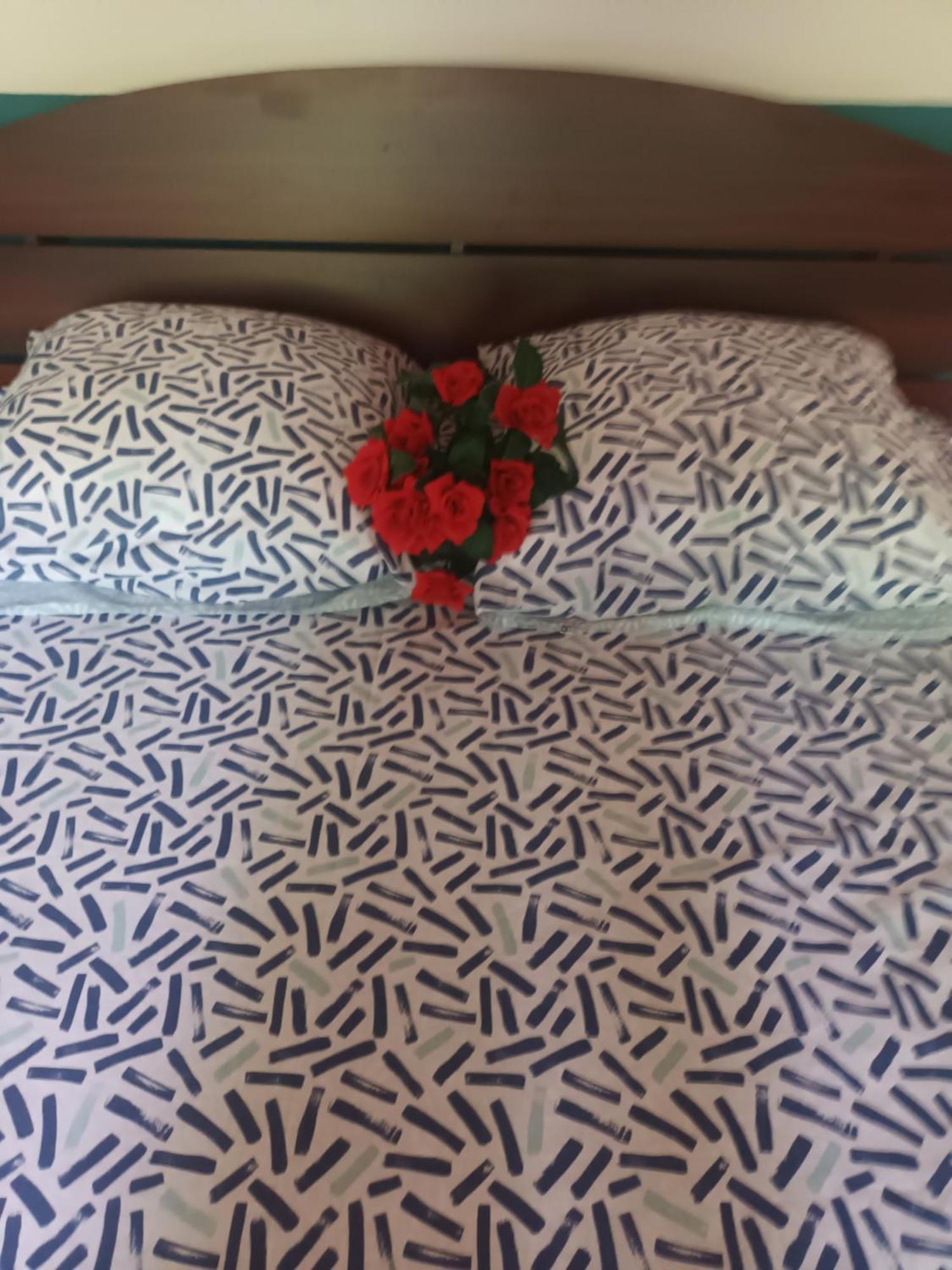 Lovely Flowers In Mount Lavinia Dehiwala-Mount Lavinia Bagian luar foto