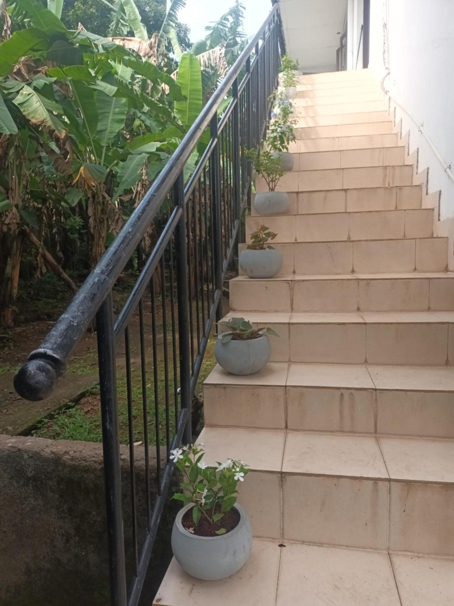 Lovely Flowers In Mount Lavinia Dehiwala-Mount Lavinia Bagian luar foto