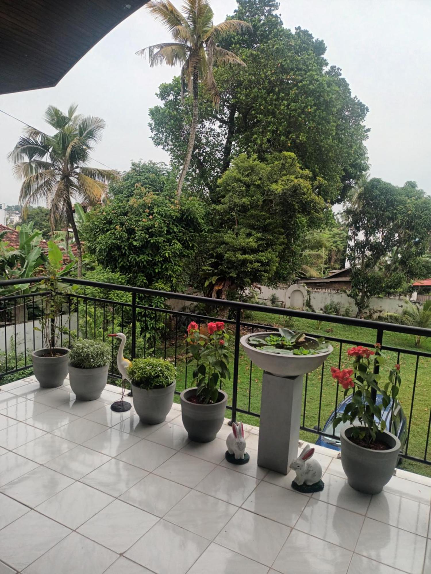 Lovely Flowers In Mount Lavinia Dehiwala-Mount Lavinia Bagian luar foto